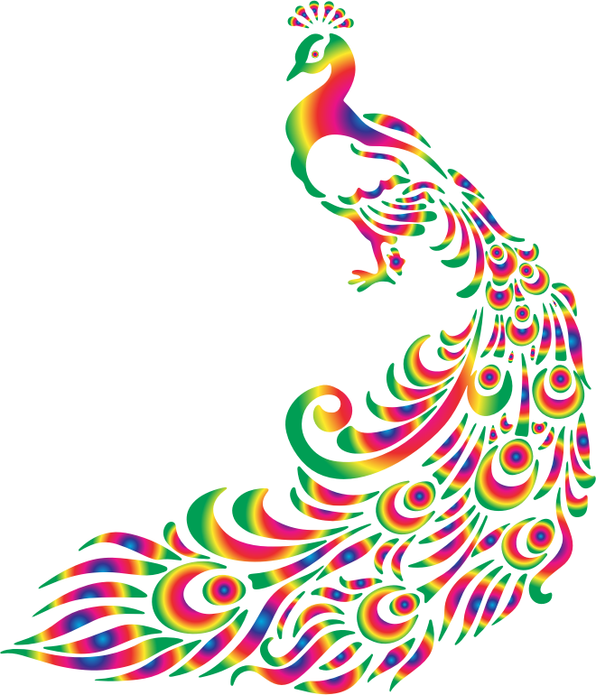 Colorful Peacock 2