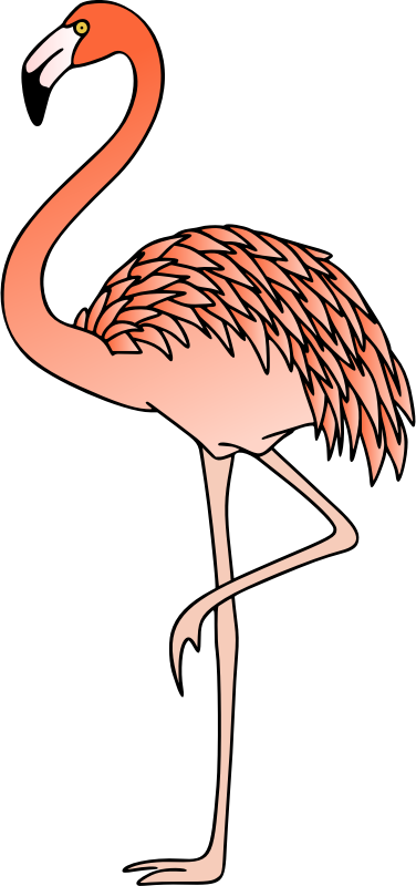 Flamingo 3 (colour)