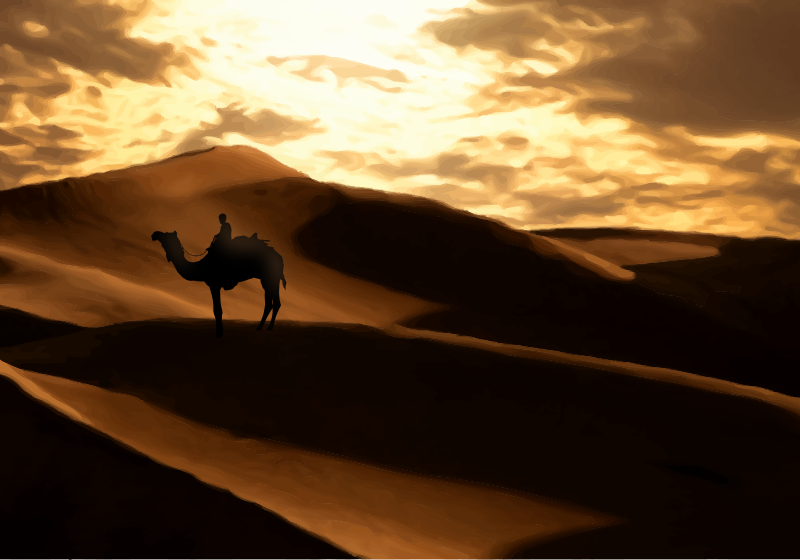 Desert Scene with Camel