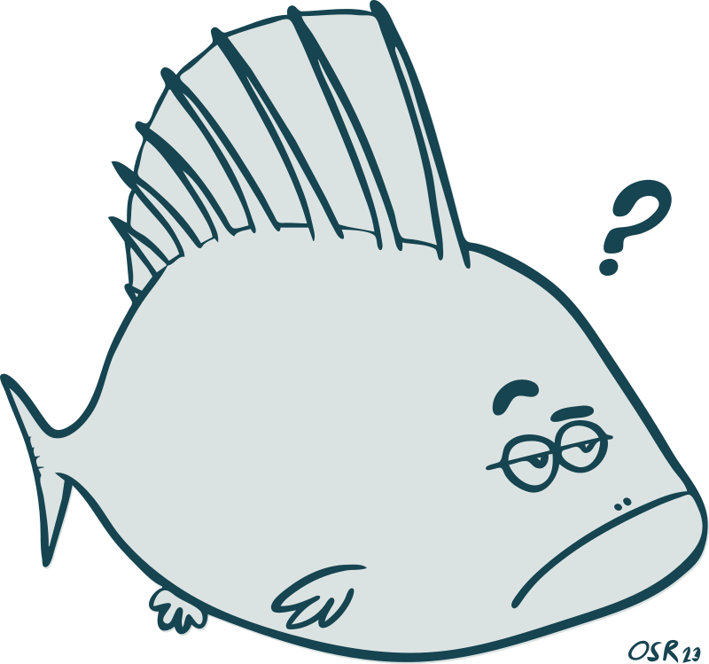 Simple Big Fish Cartoon