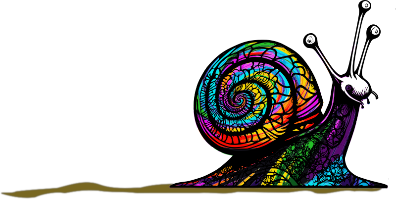 Color Snail
