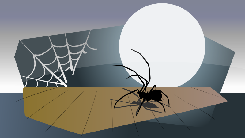 Spider in the Night - Halloween